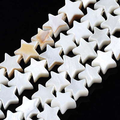 Natural Freshwater Shell Beads Strands SHEL-Q024-018-1