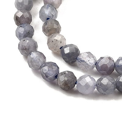 Natural Tanzanite Beads Strands LS-G-S387-A01-3mm-1