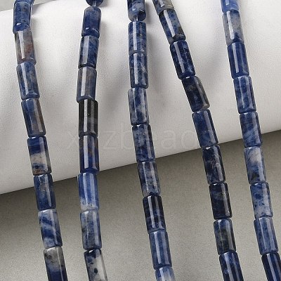 Natural Sodalite Beads Strands G-B091-A24-01-1