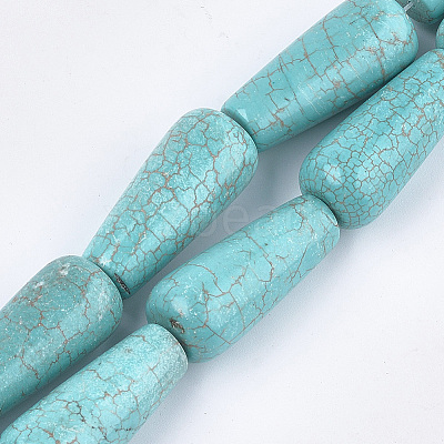Natural Howlite Beads Strands TURQ-T003-09-1