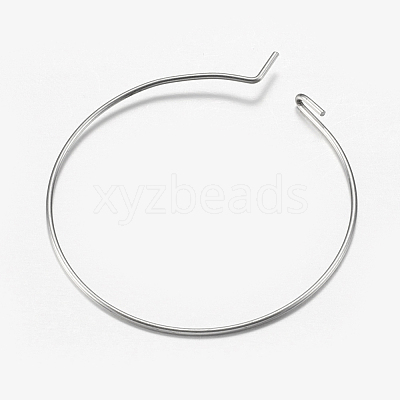316 Surgical Stainless Steel Hoop Earrings Findings STAS-I097-050A-1