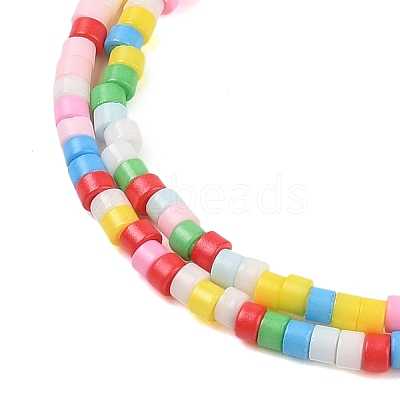 Handmade Lampwork Beads Strands LAMP-L078-008N-1