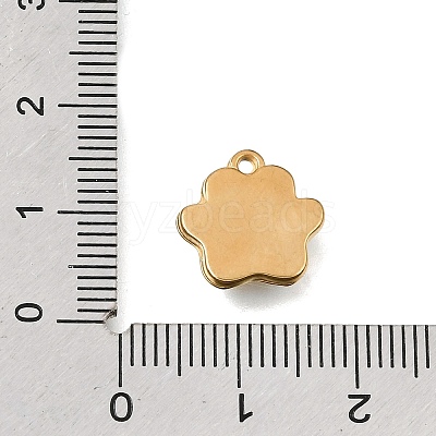 304 Stainless Steel Pendants STAS-D393-05G-1