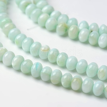 Dyed Natural Freshwater Shell Rondelle Bead Strands BSHE-O016-19B-1