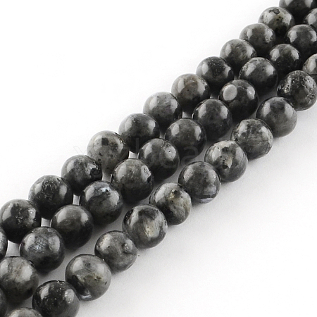 Natural Larvikite Round Beads Strands LS-G-R342-10mm-09-1