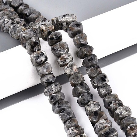Natural Syenite Beads Strands G-N327-05-27-1