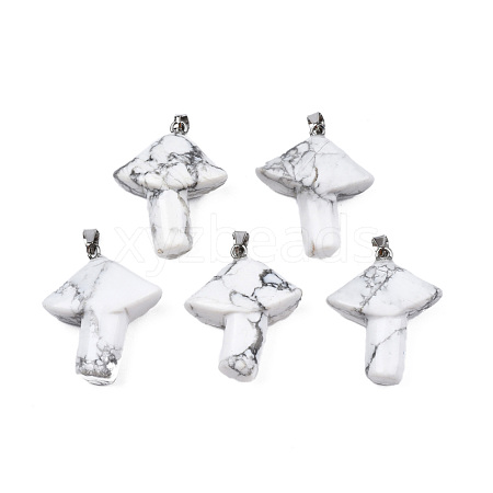 Natural Howlite Pendants G-R480-02P-1