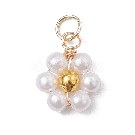 Acrylic Pendants PALLOY-JF02559-S-1