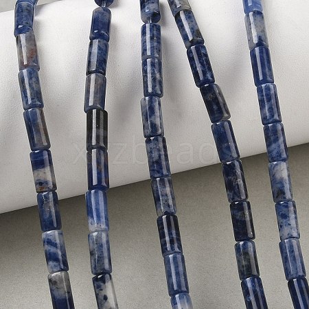 Natural Sodalite Beads Strands G-B091-A24-01-1