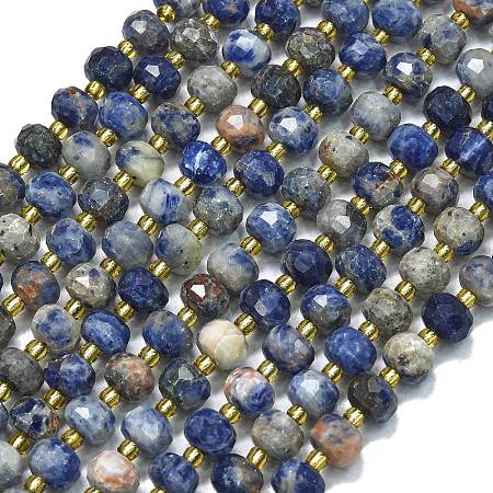 Natural Sodalite Beads Strands G-K389-E74-01C-1