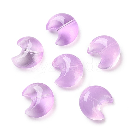 Baking Paint Transparent Glass Beads DGLA-F003-01J-1