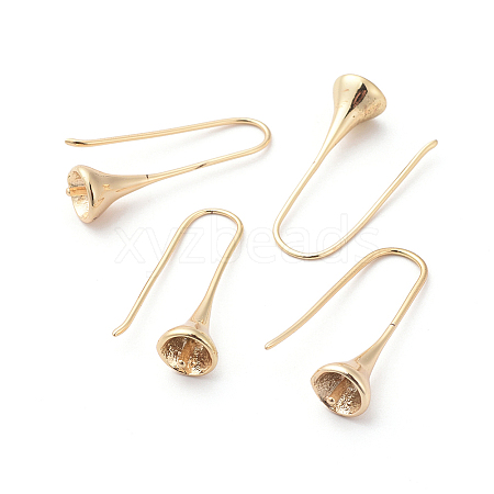 Brass Earring Hooks KK-I655-10G-1