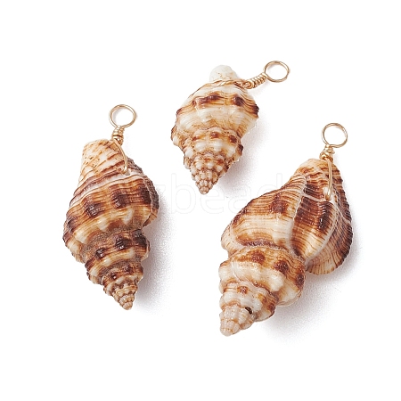 Natural Spiral Shell Pendants PALLOY-JF02950-1