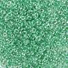 8/0 Glass Seed Beads SEED-A015-3mm-2218-2