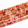 Dyed Natural Agate Faceted Round Beads Strands G-P097-22-1