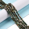 Natural Fuchsite Beads Strands X-G-C009-A02-2