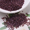 MIYUKI Delica Beads SEED-X0054-DB0129-1