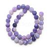 Natural Weathered Agate Bead Strands G-S237-8mm-13-2