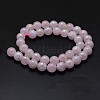 Electroplated Natural Rose Quartz Beads Strands G-K285-06-10mm-2