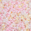 Glass Seed Beads SEED-K010-03I-2