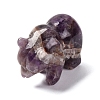 Natural Amethyst Display Decorations DJEW-P019-C04-2