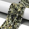 Natural Prehnite Beads Strands G-G189-D07-02-2