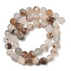 Natural Dendritic Agate Beads Strands G-A248-A04-02-3