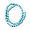 Dyed & Heated Natural Magnesite Beads Strands G-G924-01B-03-3