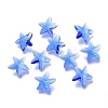 Faceted Glass Charms GLAA-H101-A-03-1