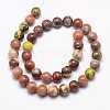 Natural Plum Blossom Jasper Beads Strands G-A163-02-4mm-2