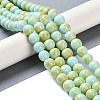 Baking Paint Glass Bead Strands GLAA-H031-01C-08-2