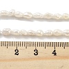 Natural Keshi Pearl Cultured Freshwater Pearl Beads Strands PEAR-P062-19-5