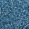 MIYUKI Delica Beads SEED-MY11-DB2383-3