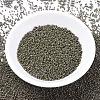 MIYUKI Delica Beads SEED-MY11-DB0657-2