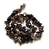 Chips Natural Smoky Quartz Beads Strands G-P030-03-3