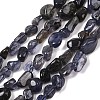 Natural Iolite/Cordierite/Dichroite Beads Strands G-A284-A02-01-2