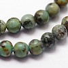 Natural African Turquoise(Jasper) Beads Strands G-N0188-02-2mm-3