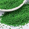 MIYUKI Round Rocailles Beads SEED-G009-RR0411-1