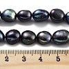 Dyed Natural Cultured Freshwater Pearl Beads Strands PEAR-P062-30D-5