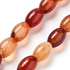 Natural Red Agate Beads Strands G-B106-B06-01-1