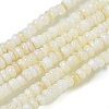 Dyed Natural Freshwater Shell Beads Strands BSHE-G039-07N-1