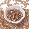 6/0 Glass Seed Beads X1-SEED-A005-4mm-39A-1