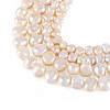 2 Strands 2 Srtyles Natural Cultured Freshwater Pearl Beads Strands PEAR-TA0001-20-3