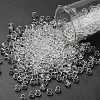 TOHO 6/0 Round Beads SEED-TR06-0001-1
