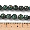 Natural Fuchsite Beads Strands G-G271-B03-10mm-5