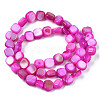 Natural Trochid Shell/Trochus Shell Beads Strands SHEL-S258-083-B07-2