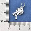 925 Sterling Silver Charms STER-S009-01A-S-3