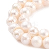 Natural Cultured Freshwater Pearl Beads Strands PEAR-C003-12D-4
