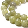 Natural Green Jade Beads Strands G-K340-A02-02-4