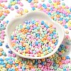 Baking Paint Glass Seed Beads SEED-B001-02A-10-2